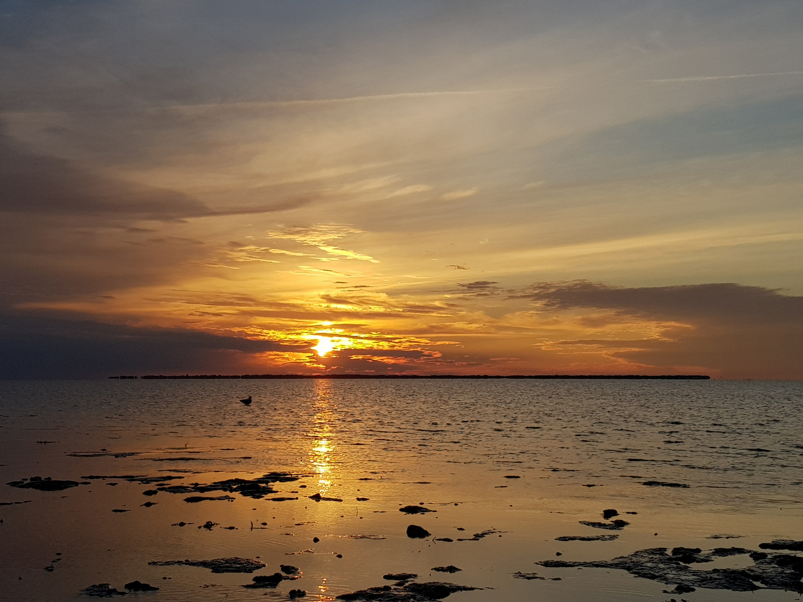 Umgebung am Hafen